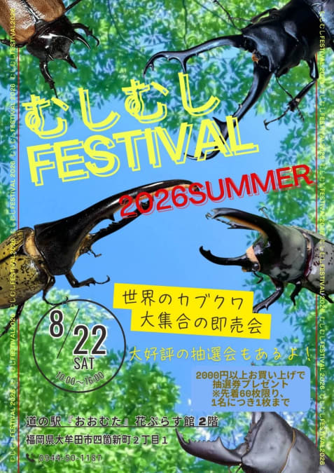 むしむしFESTIVAL | ムシムスビ むしむしFESTIVAL | ムシムスビ
